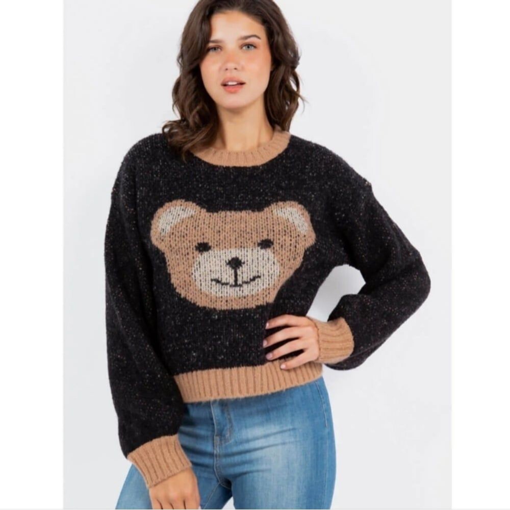 Luna Ivy Anthropologie teddy bear long sleeve sweater size Small Cropped